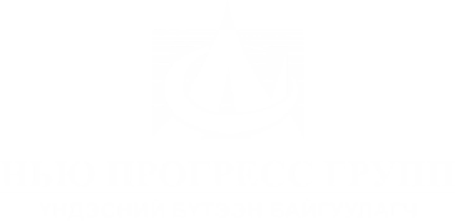 Нью прогресс групп